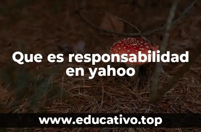 Que es responsabilidad en yahoo