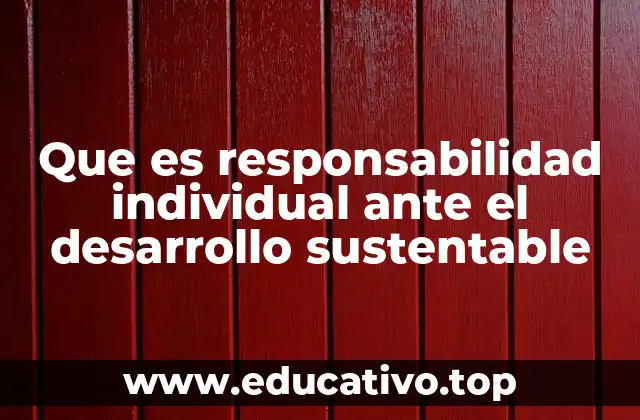 Que es responsabilidad individual ante el desarrollo sustentable