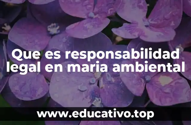 Que es responsabilidad legal en maria ambiental