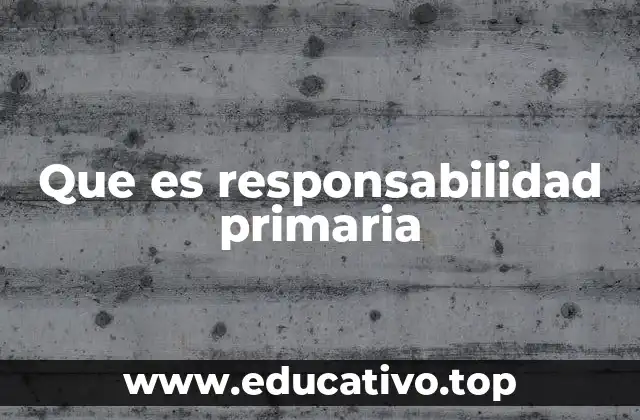 Que es responsabilidad primaria