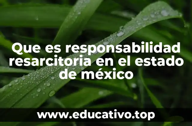 Que es responsabilidad resarcitoria en el estado de méxico