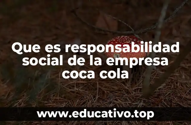 Que es responsabilidad social de la empresa coca cola