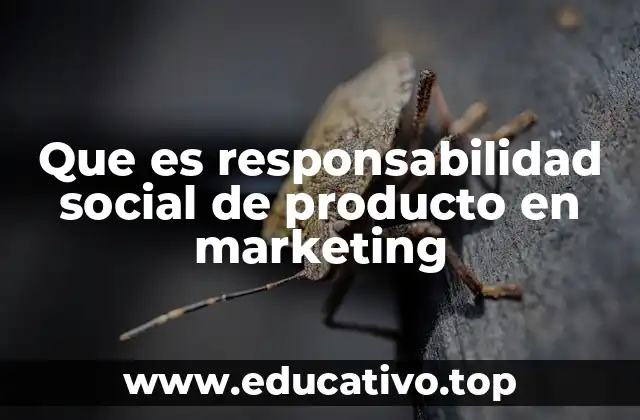 Que es responsabilidad social de producto en marketing