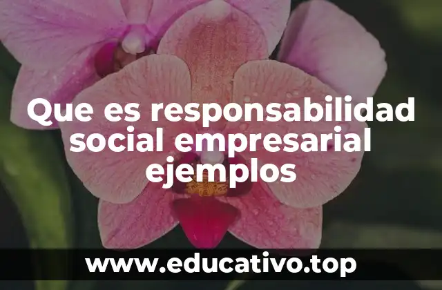 Cómo las empresas pueden integrar la responsabilidad social en su estrategia