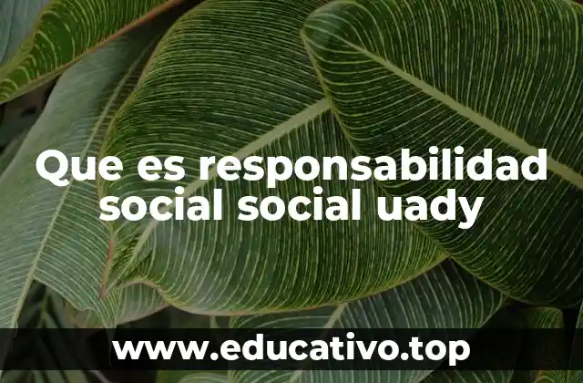 El rol de las universidades en el desarrollo social