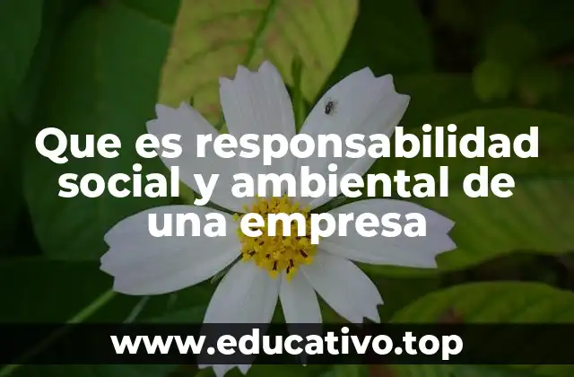 Que es responsabilidad social y ambiental de una empresa