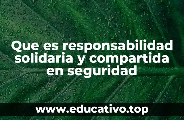 Que es responsabilidad solidaria y compartida en seguridad