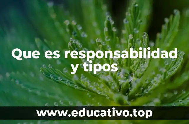 Que es responsabilidad y tipos