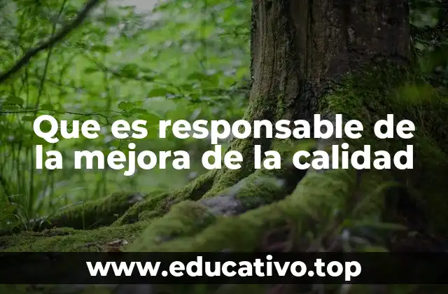 Que es responsable de la mejora de la calidad