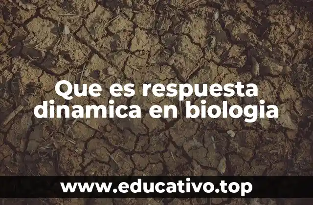 Que es respuesta dinamica en biologia