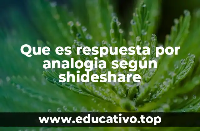 Que es respuesta por analogia según shideshare