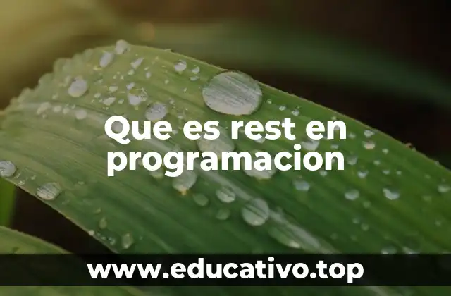 Que es rest en programacion