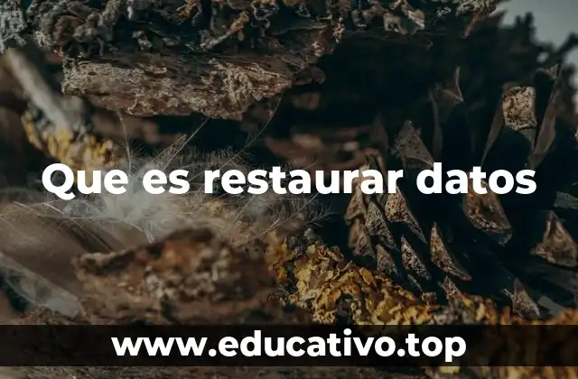 Que es restaurar datos