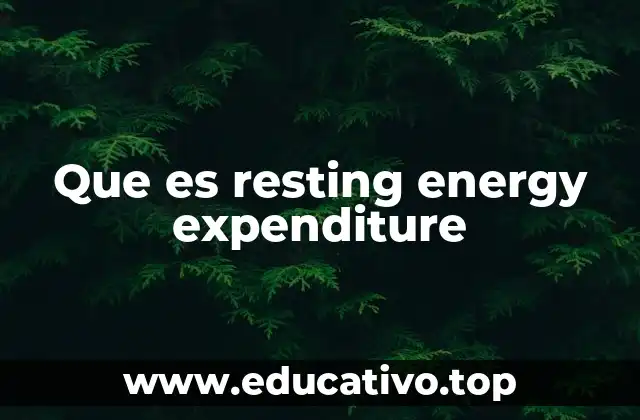 Que es resting energy expenditure