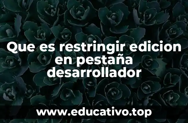 Que es restringir edicion en pestaña desarrollador