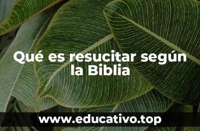 Qué es resucitar según la Biblia