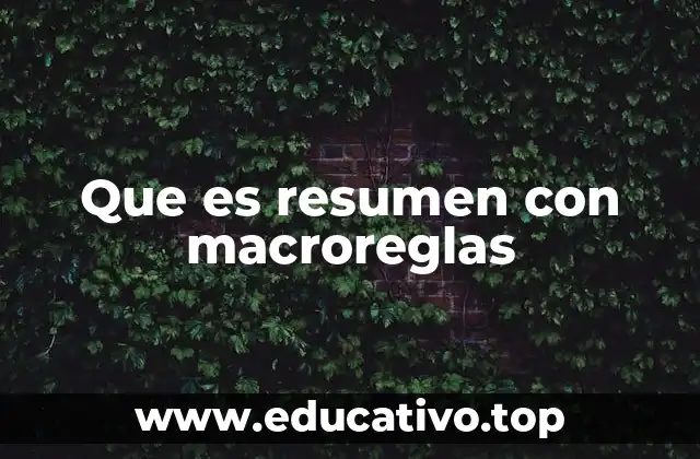 Que es resumen con macroreglas