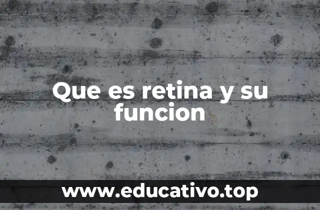 Que es retina y su funcion