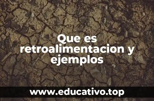 Que es retroalimentacion y ejemplos