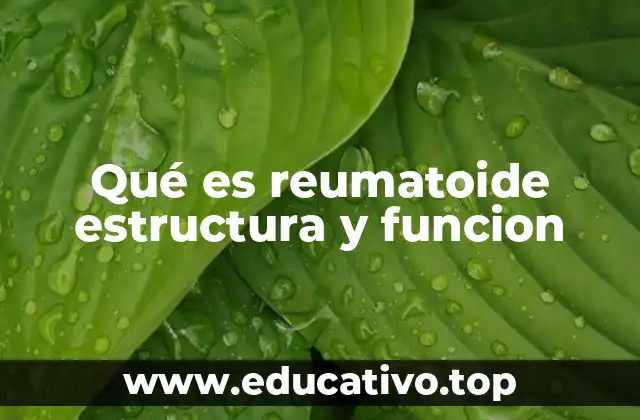 Qué es reumatoide estructura y funcion