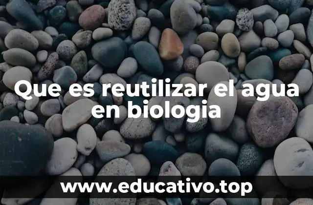 Que es reutilizar el agua en biologia