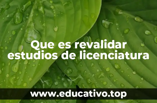 Que es revalidar estudios de licenciatura