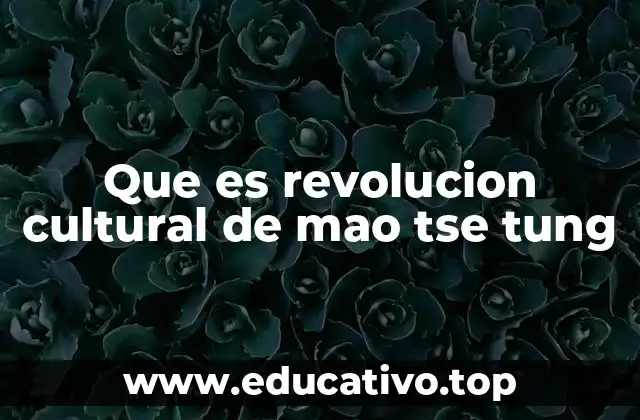 Que es revolucion cultural de mao tse tung