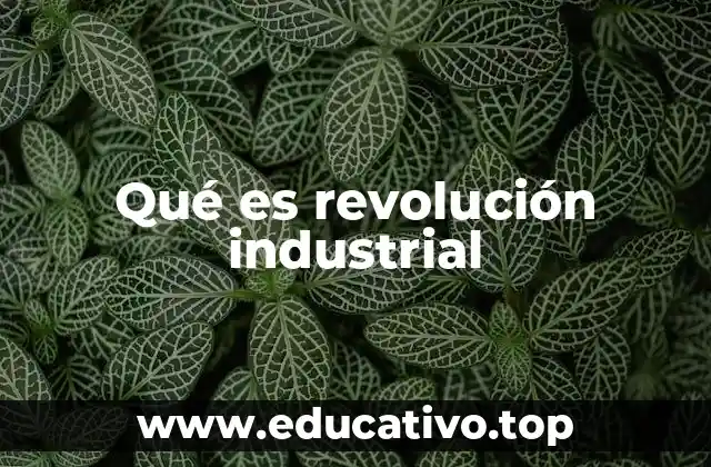 Qué es revolución industrial