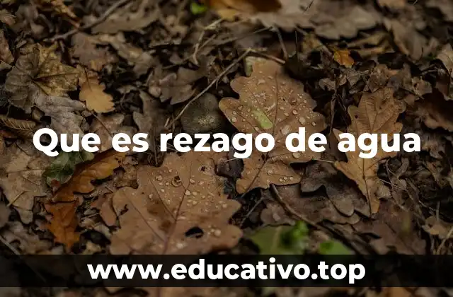 Que es rezago de agua
