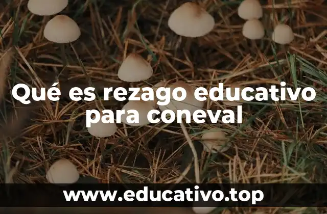 Qué es rezago educativo para coneval