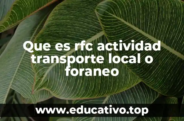Que es rfc actividad transporte local o foraneo