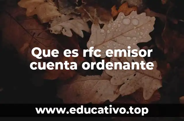 Que es rfc emisor cuenta ordenante