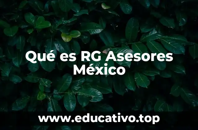 Qué es RG Asesores México