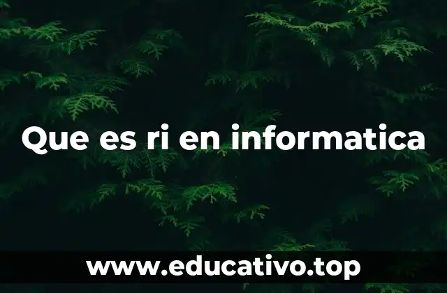 Que es ri en informatica