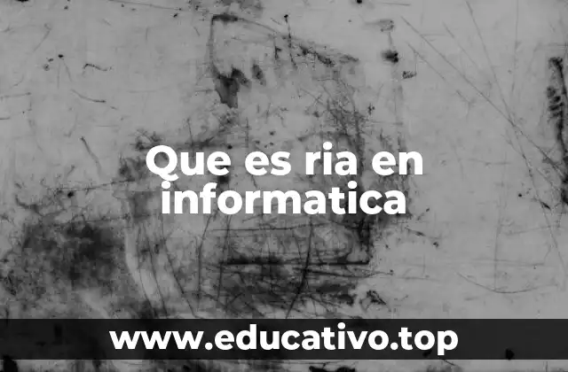 Que es ria en informatica