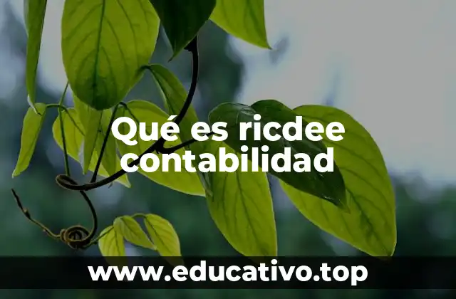 Qué es ricdee contabilidad