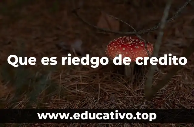 Que es riedgo de credito