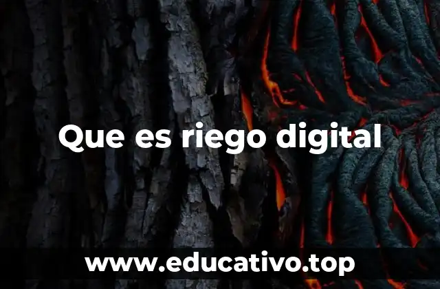 Que es riego digital
