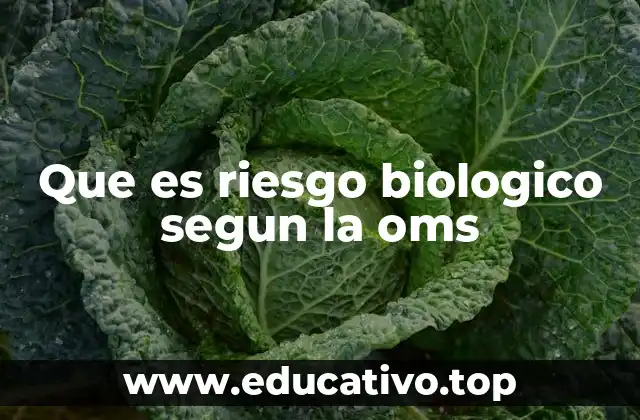Que es riesgo biologico segun la oms
