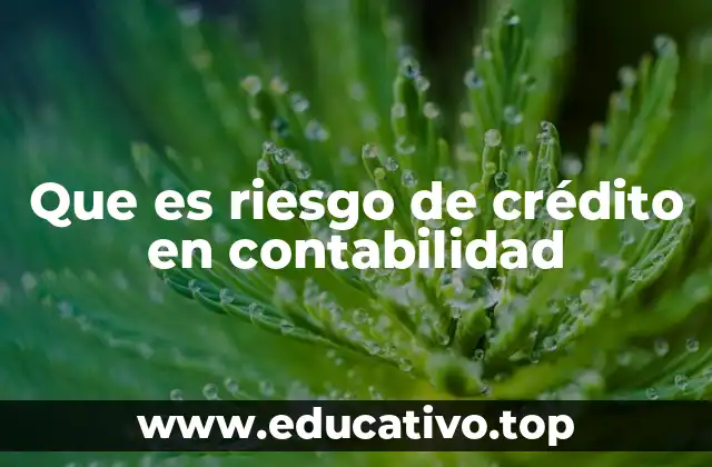Que es riesgo de crédito en contabilidad