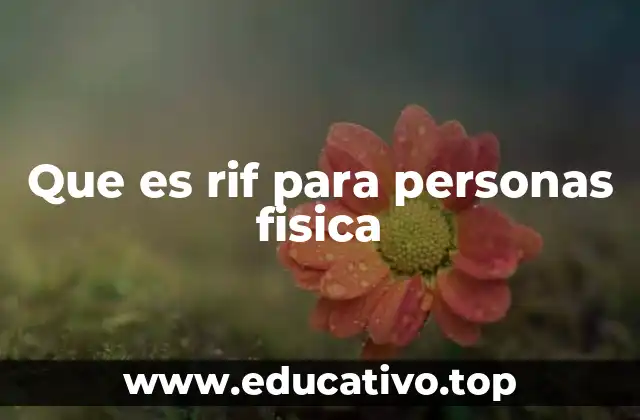 Que es rif para personas fisica