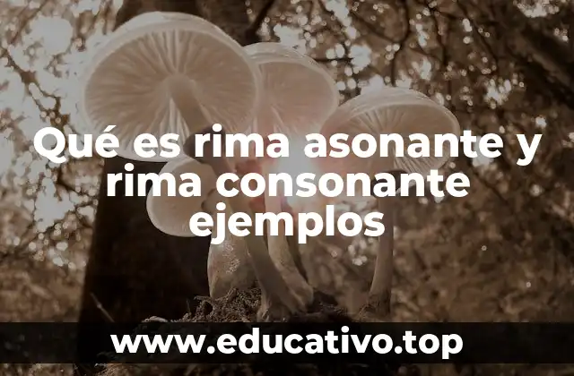 Qué es rima asonante y rima consonante ejemplos