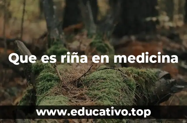 Que es riña en medicina
