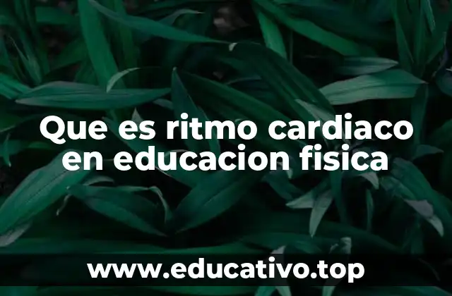 Que es ritmo cardiaco en educacion fisica