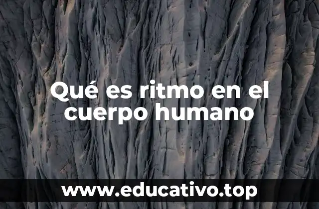 Qué es ritmo en el cuerpo humano