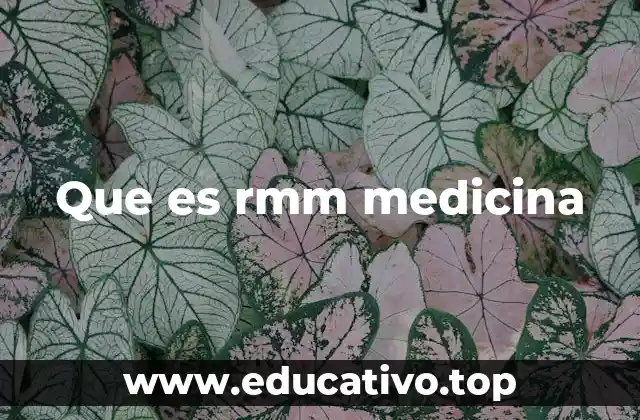 Que es rmm medicina