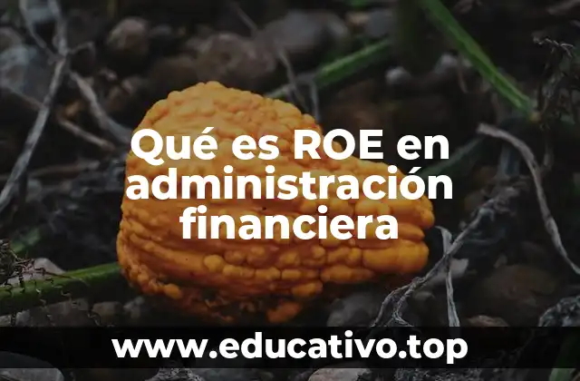 Qué es ROE en administración financiera