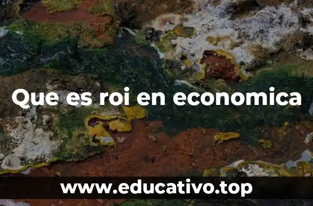 Que es roi en economica