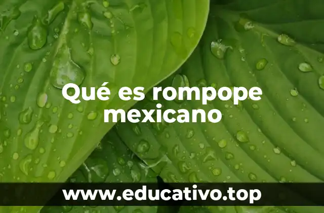 Qué es rompope mexicano