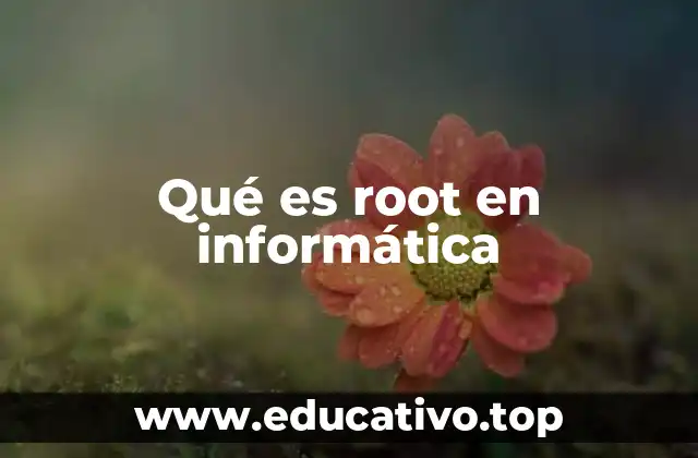 Qué es root en informática